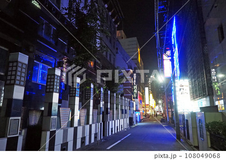 新宿 歌舞伎町 夜のホテル街 新宿 歌舞伎町 夜のホテル街 108049068