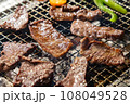 網で焼く焼き肉（こんがり焼けた牛肉） 108049528