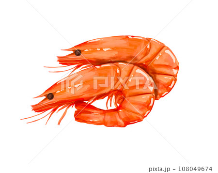 上から　俯瞰　えび　エビ　海老　おせち　正月　お正月　謹賀新年　年賀状　縁起物　イラスト　年賀 108049674