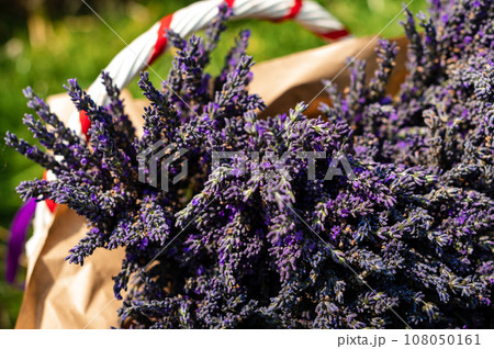Lavender bouquets with purple and yellow ribbons lie on paper 108050161