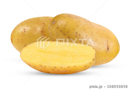 potato isolated on white background potato isolated on white background 108050856