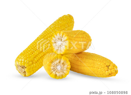 corn isolated on white background 108050898
