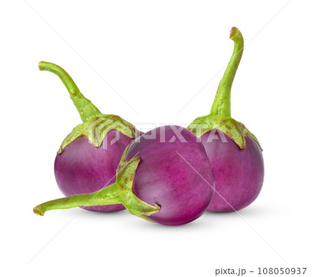 eggplant isolated on  white background 108050937