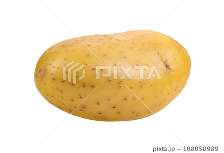 Potato isolated on white background 108050989
