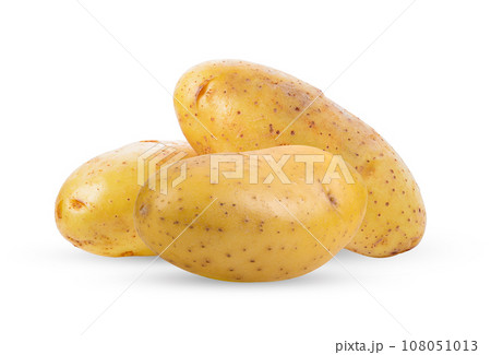 potato isolated on white background potato isolated on white background 108051013