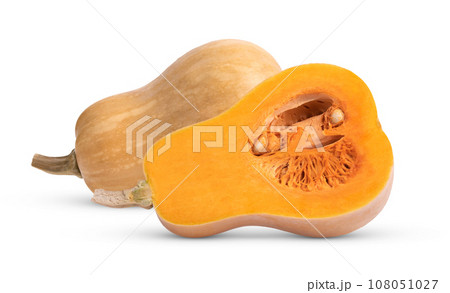 Fresh butternut isolated on a white background 108051027