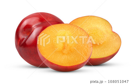 Plum isolated on white 108051047