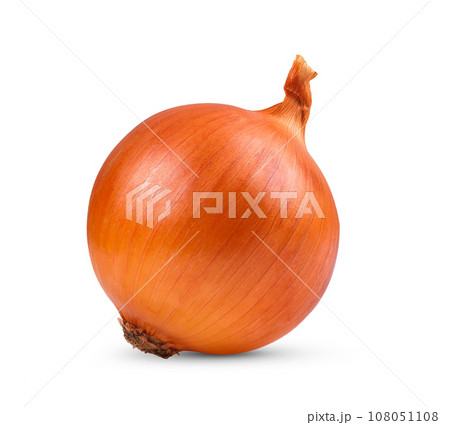 Onion isolated on white 108051108