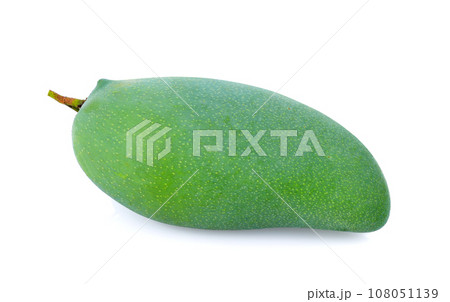 mango on white background mango on white background 108051139