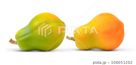 papaya on white background papaya on white background 108051202