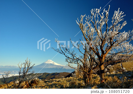 富士山と霧氷　達摩山 108051720