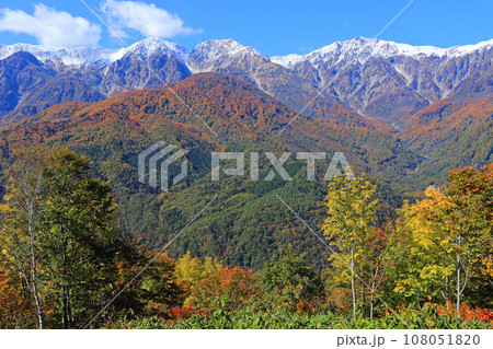 秋の白馬岩岳マウンテンリゾートから望む北アルプス 108051820