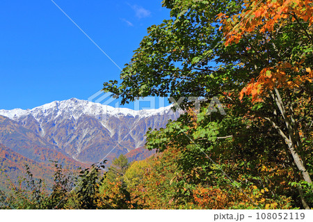 秋の白馬岩岳マウンテンリゾートから望む北アルプス 108052119
