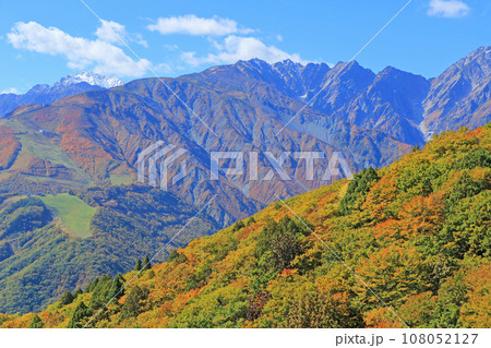 秋の白馬岩岳マウンテンリゾートから望む北アルプス 108052127
