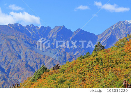 秋の白馬岩岳マウンテンリゾートから望む北アルプス 108052220