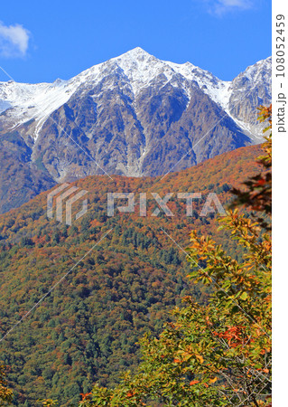 秋の白馬岩岳マウンテンリゾートから望む北アルプス 108052459