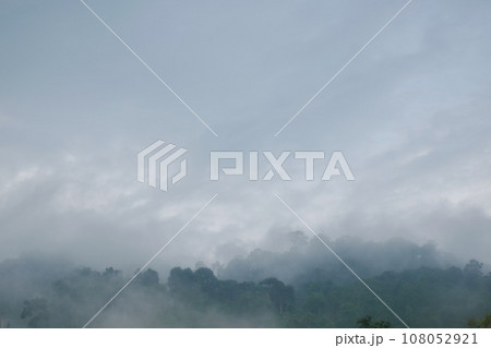 landscape of mountain with mist at Nang rong waterfall in Thailand 108052921