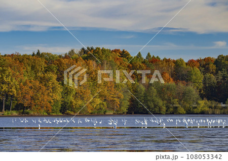 Typical autumn landscape in Trebonsko region in Southern Bohemia, Czech Republic Typical autumn landscape in Trebonsko region in Southern Bohemia, Czech Republic 108053342