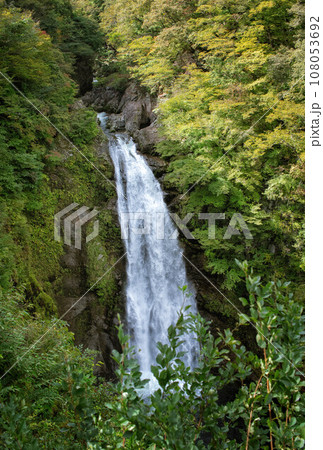宮城県仙台市の秋保大滝です 108053692