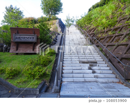 山北つぶらの公園(神奈川県足柄上郡山北町都夫良野) 2023年8月撮影 山北つぶらの公園(神奈川県足柄上郡山北町都夫良野) 2023年8月撮影 108053900