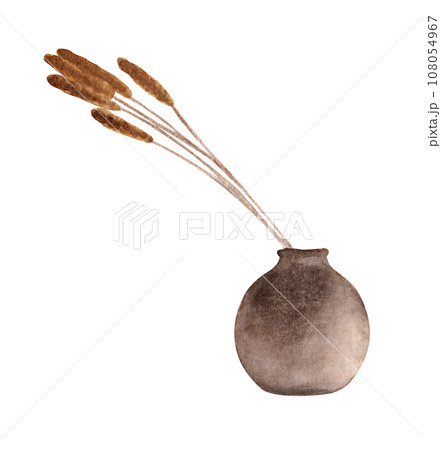 Dried flower decorate in vase. Watercolor illustration. 108054967