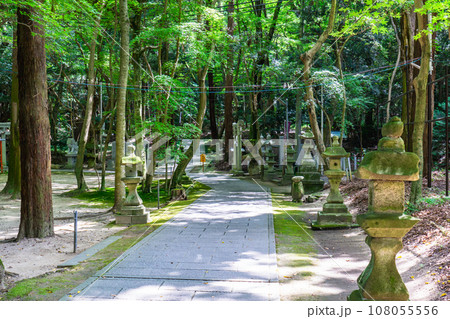 大阪府交野市の星田妙見宮(小松神社) 参道 大阪府交野市の星田妙見宮(小松神社) 参道 108055556