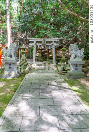 大阪府交野市の星田妙見宮(小松神社) 鳥居 大阪府交野市の星田妙見宮(小松神社) 鳥居 108055559