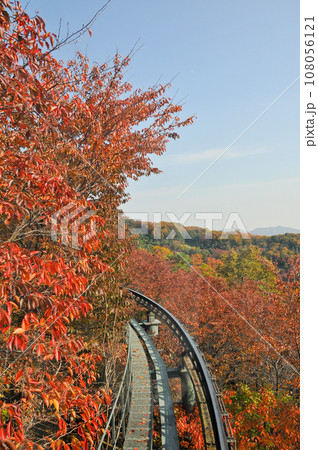 Hwadam Forest Botanic Garden small shuttle train car metal railway to Red Orange maple leaves trees in deep forest with beautiful colourful Autumn foliage trees scenery. Hwadam Forest Botanic Garden small shuttle train car metal railway to Red Orange maple leaves trees in deep forest with beautiful colourful Autumn foliage trees scenery. 108056121
