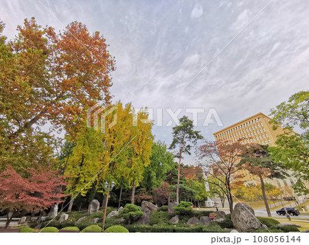 Colourful foliage with modern office buildings of Deoksugung palace in Autumn. 108056144