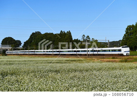 特急「サンダーバード」　北陸本線 108056710