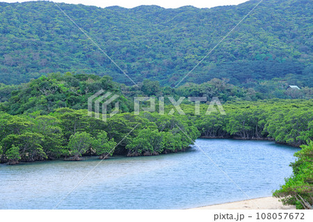 石垣島、吹通川マングローブ郡落 108057672
