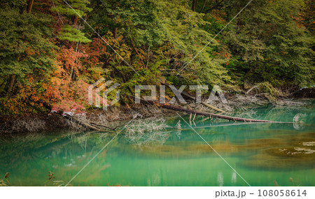紅葉の始まった、エメラルドグリーンの湖面に映える景観 108058614