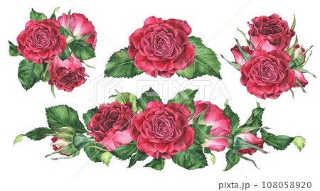 Roses Set of compositions. Pink Flowers for greeting cards design. Watercolor botanical illustration of a bouquet. Hand drawn isolated on a white background. Drawing of a floral bundle for stickers Roses Set of compositions. Pink Flowers for greeting cards design. Watercolor botanical illustration of a bouquet. Hand drawn isolated on a white background. Drawing of a floral bundle for stickers 108058920