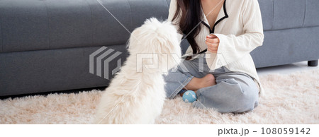 Young asian woman playful with fluffy dog shih tzu for relax with love in the living room. 108059142