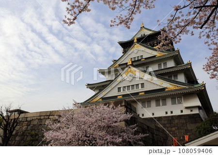 桜と大阪城 桜と大阪城 108059406