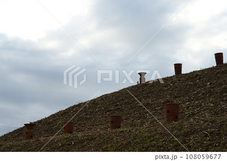 埼玉古墳群　将軍山古墳の上部に並べられた埴輪 108059677