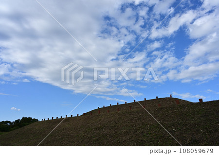 埼玉古墳群　将軍山古墳の上部に並べられた埴輪 108059679