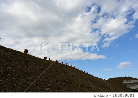 埼玉古墳群　将軍山古墳の上部に並べられた埴輪 108059681