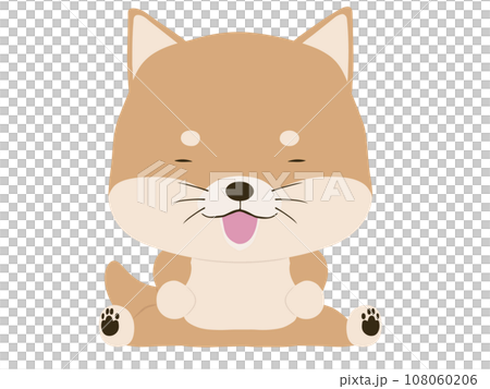 座っている笑顔の柴犬 座っている笑顔の柴犬 108060206