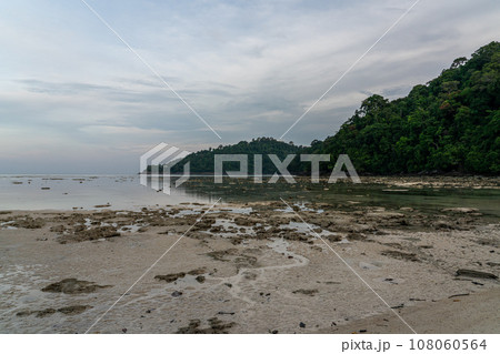 Living coral reef during low tide in Mai Ngam beach, Surin island national park, Thailand Living coral reef during low tide in Mai Ngam beach, Surin island national park, Thailand 108060564