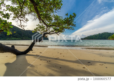 Beautiful Mai ngam beach in Koh Surin national park, the famous free driving spot in Pang Nga, Thailand. 108060577