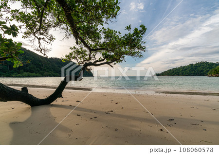 Beautiful Mai ngam beach in Koh Surin national park, the famous free driving spot in Pang Nga, Thailand. Beautiful Mai ngam beach in Koh Surin national park, the famous free driving spot in Pang Nga, Thailand. 108060578