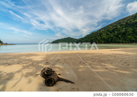 Tranquil Mai Ngam beach in beautiful day, Surin island national park, Phang Nga, Thailand, Tranquil Mai Ngam beach in beautiful day, Surin island national park, Phang Nga, Thailand, 108060630