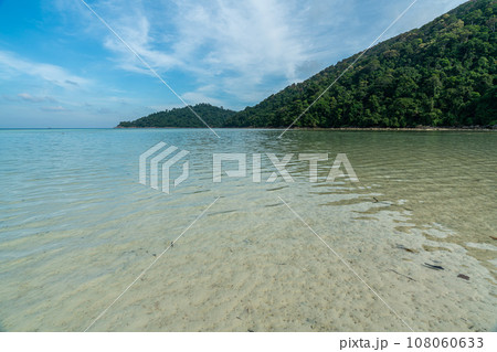 Shallow water coral reef in Mai Ngam beach, Surin island national park, Phang Nga, Thailand,. 108060633