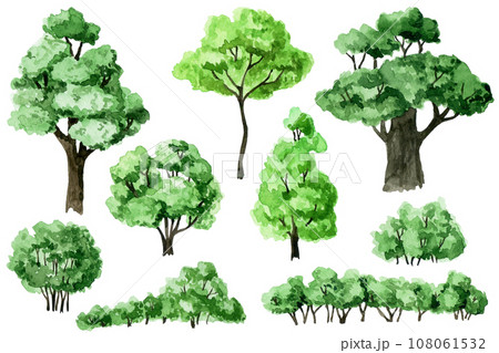 watercolor drawing. set of green trees and bushes. forest, garden elements	 108061532