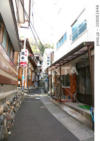 若狭 常神漁港 若狭常神 常神のソテツ 福井県若狭町 常神民宿街 若狭常神町 若狭湾 日本海 若狭 常神漁港 若狭常神 常神のソテツ 福井県若狭町 常神民宿街 若狭常神町 若狭湾 日本海 108061646