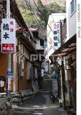 若狭　常神漁港　若狭常神　常神のソテツ　福井県若狭町　常神民宿街　若狭常神町　若狭湾　日本海　 108061649