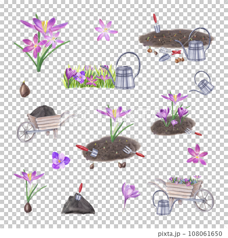 Set of crocuses, bulbs, soil, garden hand tools. Planting flowers in the ground and watering. Spring flowers, gardening equipment. Watercolor illustration for the design of booklet flyer, label Set of crocuses, bulbs, soil, garden hand tools. Planting flowers in the ground and watering. Spring flowers, gardening equipment. Watercolor illustration for the design of booklet flyer, label 108061650