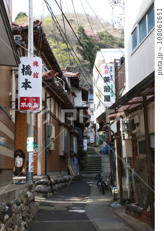 若狭　常神漁港　若狭常神　常神のソテツ　福井県若狭町　常神民宿街　若狭常神町　若狭湾　日本海　 108061651