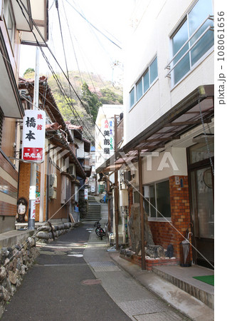 若狭 常神漁港 若狭常神 常神のソテツ 福井県若狭町 常神民宿街 若狭常神町 若狭湾 日本海 若狭 常神漁港 若狭常神 常神のソテツ 福井県若狭町 常神民宿街 若狭常神町 若狭湾 日本海 108061656